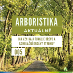 Obrázek epizody Jak vzniká a funguje dřevo a asimilační orgány stromu? - Arboristika aktuálně #005