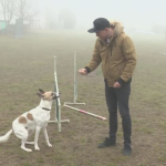 Obrázek epizody LÁĎA HRUŠKA BUDE JEZDIT DO ÚTULKŮ