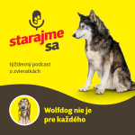 Obrázek epizody Psy: Wolfdog nie je pre každého