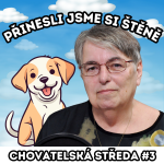 Obrázek epizody 🐶 Přinesli jsme si nové ŠTĚNĚ 🐶 | Chovatelská středa #3