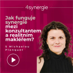 Obrázek epizody Jak funguje synergie mezi konzultantem a realitním makléřem?