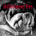 Obrázek epizody Bojíte se války? Prodejci hrnců způsobí konec světa.