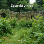 Obrázek epizody Kázání: Stanislav Chromčák - Zpustlá vinice