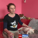 Obrázek epizody Se psem mě baví svět: Organizace, která mění životy lidí i zvířat