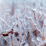 Obrázek epizody HOROSKOPY: Panny, Luna je ve vašem znamení. Láska vám dává křídla