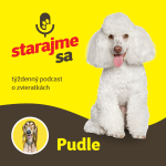 Obrázek epizody Psy: Pudle