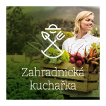 Obrázek epizody 1 Články jinak – vánoční hvězda