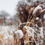 Obrázek epizody HOROSKOPY: Váhy, milostný život nabere na obrátkách. Bez vás se ale nic nepohne