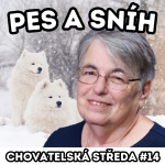 Obrázek epizody 🐶 PES a SNÍH 🐶 | Chovatelská středa #14