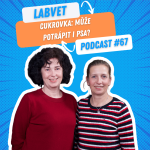 Obrázek epizody ❗CUKROVKA může potrápit i psa❗ | Labvet Podcast #67