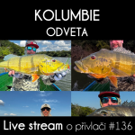 Obrázek epizody Přívlač Live #136 - Ráj peacock bassů - Kolumbie 2025 - Odveta