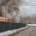 Obrázek epizody Co bude s psím útulkem?