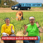 Obrázek epizody #40 Kolik by měl mít pes pohybu? A co jízda autem?