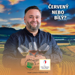 Obrázek epizody 036: Petr Gondáš o vedení Salonu vín ČR a jaké je zákulisí prestižních vinařských soutěží