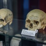 Obrázek epizody Anatomické muzeum Profesora Karla Žlábka, MUNI