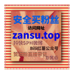 Obrázek epizody 刷粉网：如何通过千川播放量提升抖音视频的观看次数？