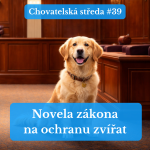 Obrázek epizody 🐶 Novela zákona na OCHRANU ZVÍŘAT 🐶 | Chovatelská středa #39