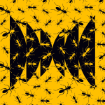 Obrázek epizody Argentine Invasion