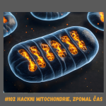 Obrázek epizody #102🧬 HACKNI MITOCHONDRIE, ZPOMAL ČAS / epigenetika, rychlost stárnutí, ATP, dlouhověkost, longevity, plastochinon, mikrobiom, červené světlo