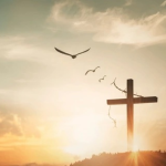 Obrázek epizody Mladá žena osvobozena od hypertenze, hemoroidů a bolestí hlavy.