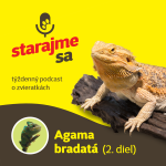 Obrázek epizody Teraristika: Agama bradatá - 2. časť