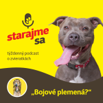 Obrázek epizody Psy: ,,Bojové plemená?”