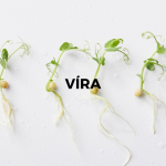 Obrázek epizody VÍRA