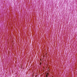 Obrázek epizody Pink Noise Sound for Deep Sleep