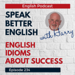 Obrázek epizody Speak Better English with Harry | Episode 234