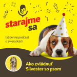 Obrázek epizody Psy: Ako zvládnuť Silvester so psom