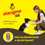 Obrázek epizody Psy: Ako na odmeňovanie a výcvik šteniat?