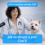 Obrázek epizody 👩‍⚕️ Jak na ALERGIE u PSŮ (část 2.) 👩‍⚕️ | Chovatelská středa #37