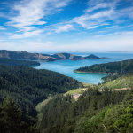 Obrázek epizody Nature Soundscape: Birds & Waves at Marlborough Sounds, New Zealand