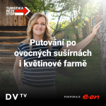 Obrázek epizody Dělat něco ekologicky není žádná věda, říká majitel farmy Květomluva. Navštivte také výjimečné sušírny ovoce i bednářství