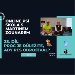 Obrázek epizody #23 Proč je důležité, aby pes odpočíval?