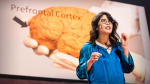 Obrázek epizody The brain-changing benefits of exercise | Wendy Suzuki