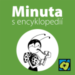 Obrázek epizody Ferda Mravenec