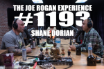 Obrázek epizody #1193 - Shane Dorian