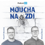 Obrázek epizody Byznysový podcast HN: Fotbalové FOMO aneb Jak to bylo se Strnadem v Plzni a jak to bude s Baníkem?