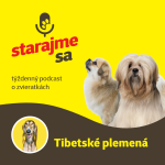 Obrázek epizody Psy: Tibetské plemená - Lhasa apso