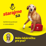 Obrázek epizody Psy: Máte lekárničku pre psa?