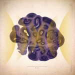 Obrázek epizody Brain Balls