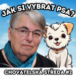 Obrázek epizody 🐕 JAK si VYBRAT PSA? 🐕 | Chovatelská středa #2