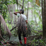 Obrázek epizody Revisited: How to save the Amazon episode two: the magic and mystery