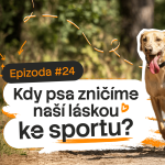 Obrázek epizody Kdy psa zničíme naší láskou ke sportu? | Psí duše #04