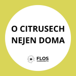 Obrázek epizody O domácím pěstování citrusů