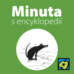 Obrázek epizody Kanárské ostrovy