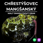 Obrázek epizody 69: Malý smaragdový drak | Chřestýšovec mangšanský