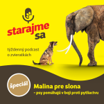 Obrázek epizody Špeciál: Malina pre slona - psy pomáhajú v boji proti pytliactvu