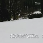 Obrázek epizody Strážníci naháněli pštrosa